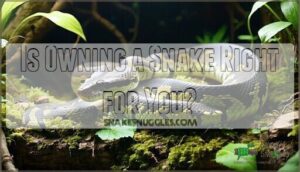 is owning a snake right for you