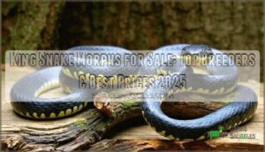 king snake morphs for sale