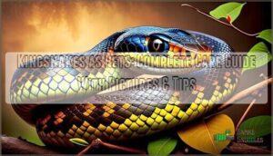 kingsnakes as pets a complete guide with pictures
