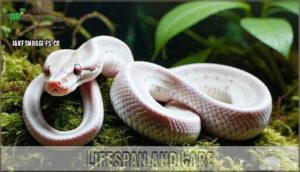 lifespan and care