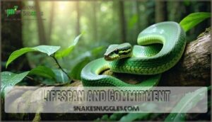 lifespan and commitment