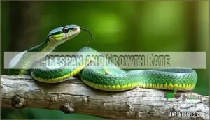 lifespan and growth rate lifespan and growth rate