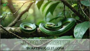 lifespan and longevity