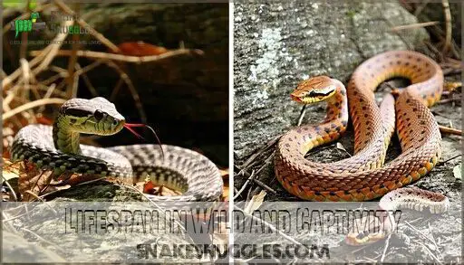 Corn Snake Facts & Care: 25+ Amazing Secrets Every Owner Should Know