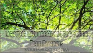 lighting requirements for green tree pythons