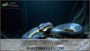 limited visual acuity