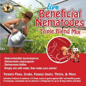 Live Beneficial Nematodes Hb+Sc+Sf   B07DQT735W