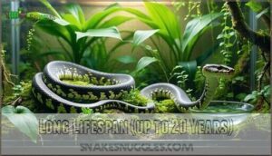 long lifespan (up to 20 years)