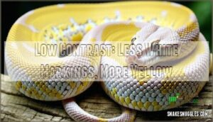low contrast: less white markings, more yellow