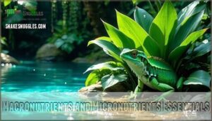 macronutrients and micronutrients essentials