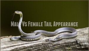 male vs female tail appearance