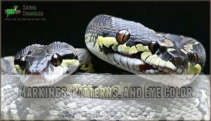 markings, patterns, and eye color