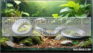 methods for offering prey to the snake