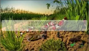 milk snake diet milk snake diet