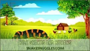 milk snakes and humans milk snakes and humans