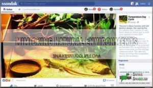 mimicking natural environments