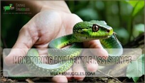 monitoring and gentle assistance