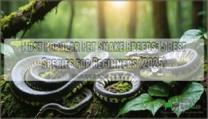 most popular pet snake breeds