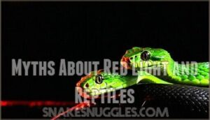 myths about red light and reptiles