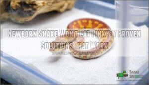 newborn snake wont eat pinky