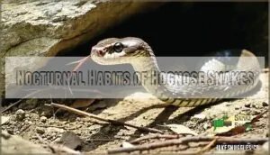 nocturnal habits of hognose snakes nocturnal habits of hognose snakes