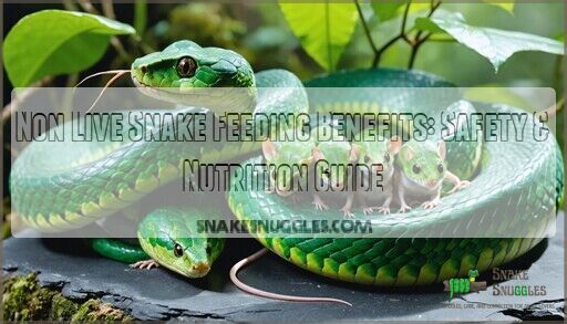 Non Live Snake Feeding Benefits: Safety & Nutrition Guide - Importance Of Nutrition In Pre-Killed Snake Hatchling Conservation Programs