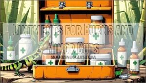 ointments for burns and minor cuts