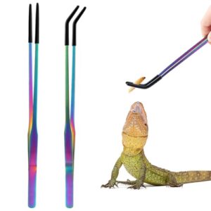 OLIISS Stainless Steel Reptile Feeding B0F1JS95WQ