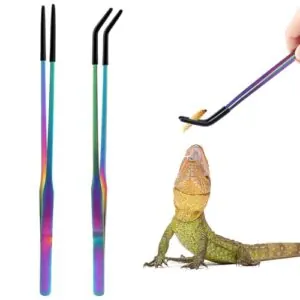 OLIISS Stainless Steel Reptile Feeding B0F1JS95WQ
