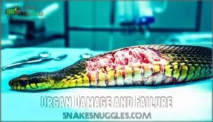 organ damage and failure