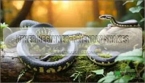 other beginner-friendly snakes other beginner-friendly snakes