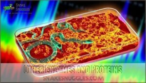 other enzymes and proteins