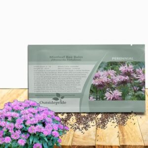 Outsidepride Wild Bergamot Seeds   B004HJGHI4