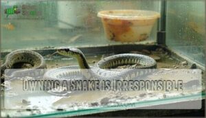 owning a snake is irresponsible