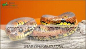 pattern morphs (motley, tessera, diffused, etc.)