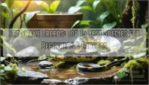 pet snake breeds pet snake breeds