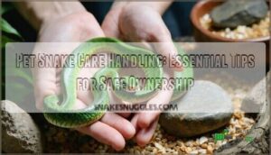pet snake care handling
