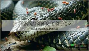 physical signs on snakes