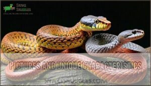 pictures and unique characteristics