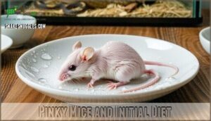 pinky mice and initial diet