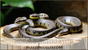 popular handleable snakes