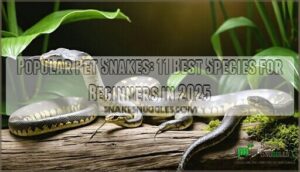 popular pet snakes