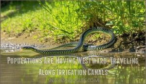 populations are moving westward, traveling along irrigation canals