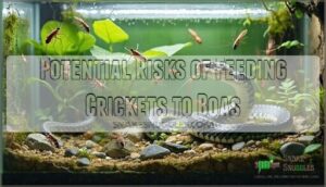 potential risks of feeding crickets to boas
