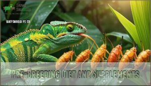 pre-breeding diet and supplements