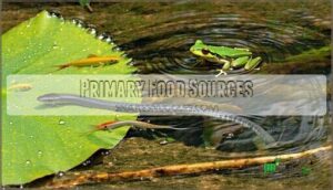 primary food sources