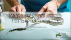 prolapsed vent in snakes treatment