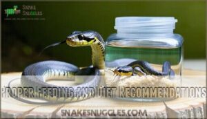 proper feeding and diet recommendations