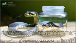proper feeding and diet recommendations proper feeding and diet recommendations