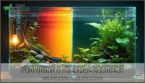 providing a thermal gradient